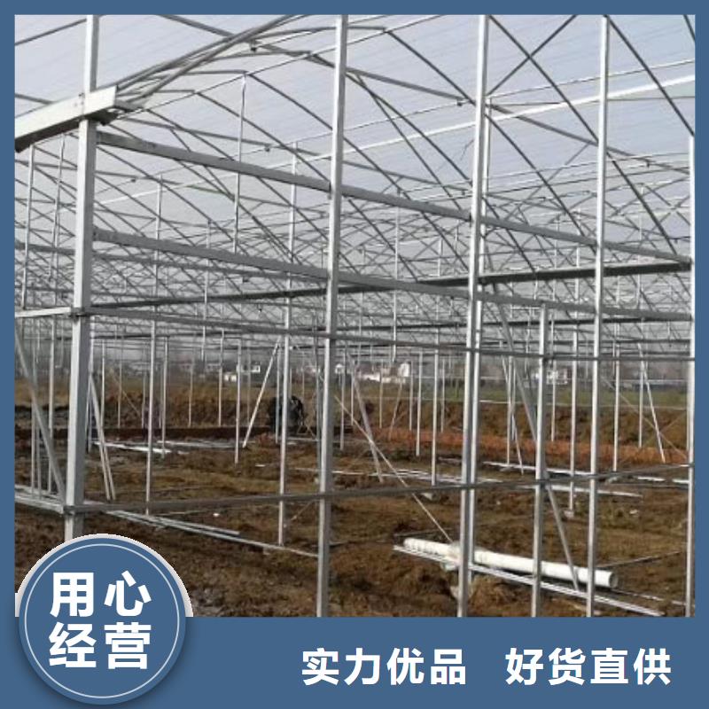 连体大棚视频-连体大棚|新余市|分宜|渝水|景德镇|萍乡|宜春|九江|赣州|南昌|吉安