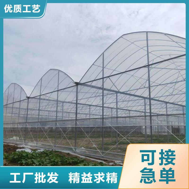 连体大棚视频-连体大棚-泽沃特钢(丽江市分公司)服务区域永胜|华坪|楚雄|迪庆|昭通|西双版纳|玉溪|临沧