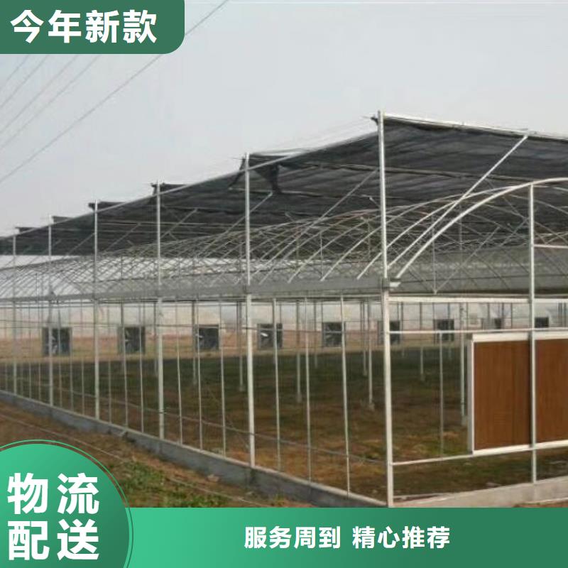 扎達縣PC陽光棚玻璃溫室連棟大棚養殖大棚單體大棚蔬菜大棚