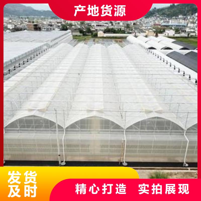 连体大棚视频-连体大棚-江西省新余市该地厂家-分宜|渝水|南昌|抚州|萍乡|九江|上饶