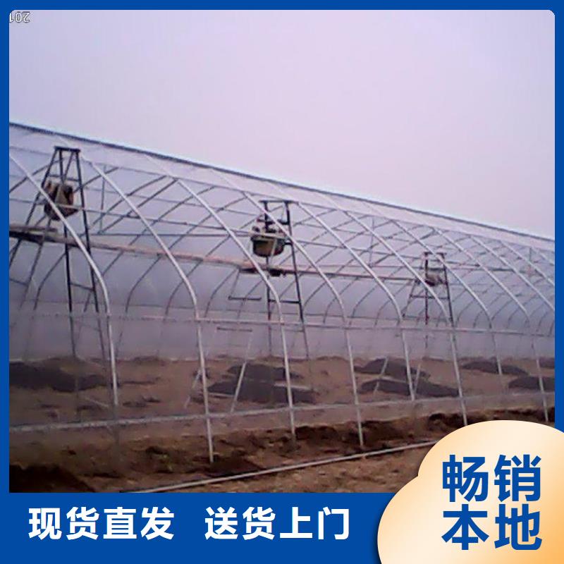 葡萄用连体大棚钢管批发市场地址