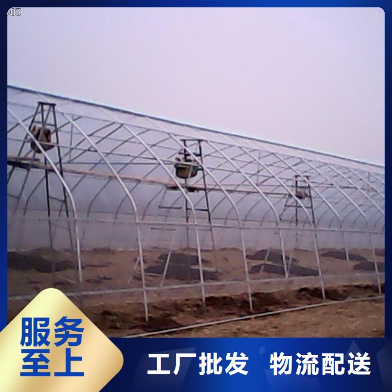 大棚管_连体大棚用心经营
