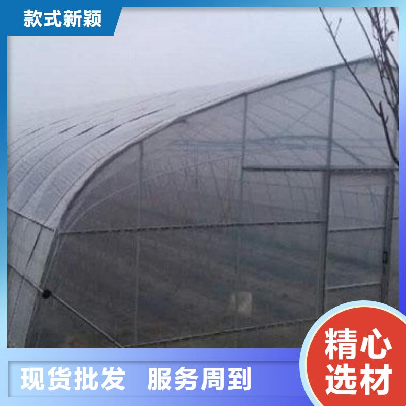  大棚管实力厂商