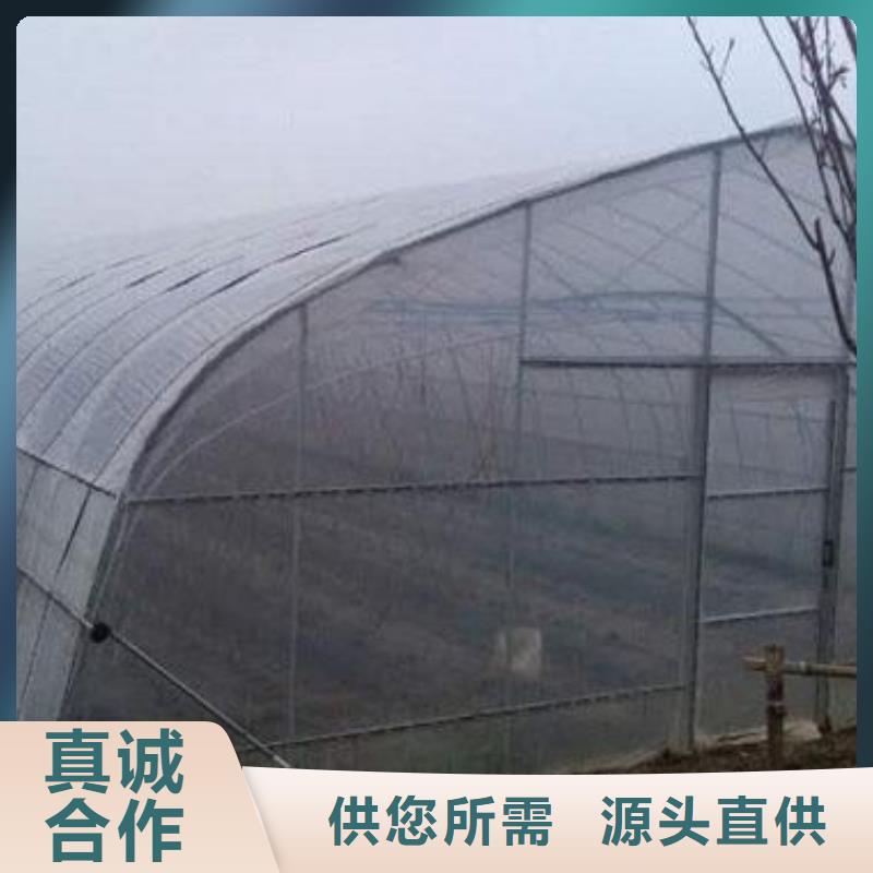 眉縣大棚鋼架骨架6分4分多少錢一噸？藥材大棚管