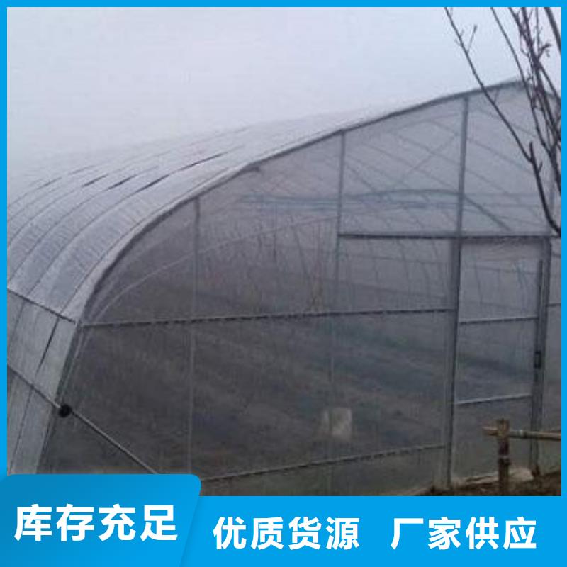 【大棚管蔬菜溫室大棚管市場行情】