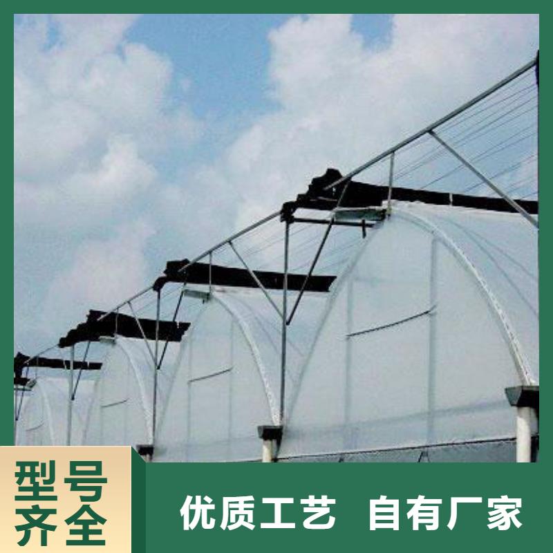 郾城大棚鋼管批發零售2025已更新