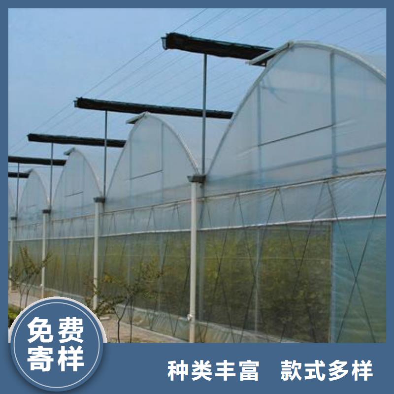 聯動大棚今日價格