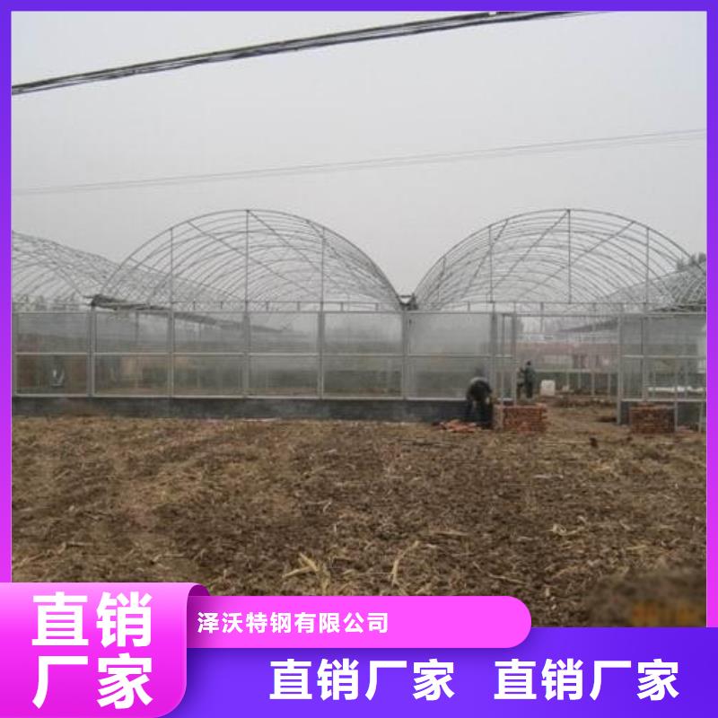 连体大棚视频-连体大棚|新余市|分宜|渝水|景德镇|萍乡|宜春|九江|赣州|南昌|吉安