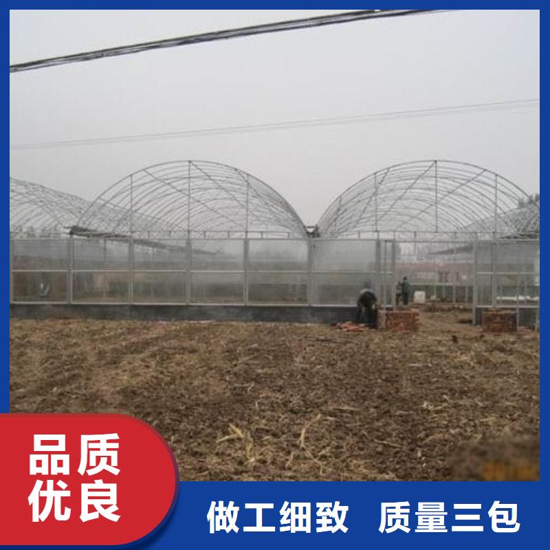 聞喜縣熱鍍鋅連棟大棚品質(zhì)保障