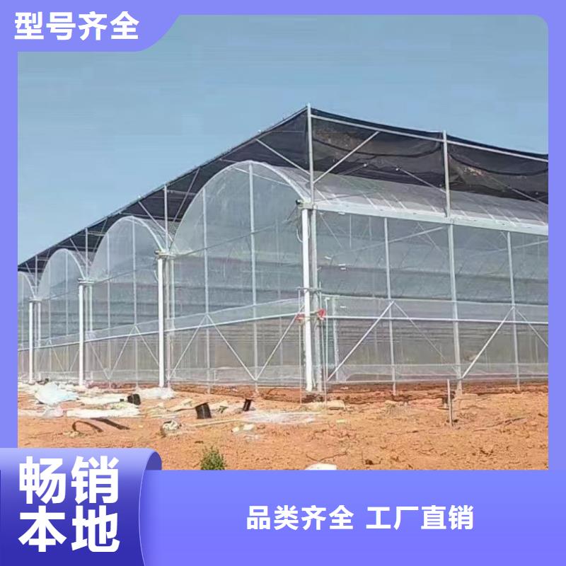 大棚搭建可在線咨詢價格