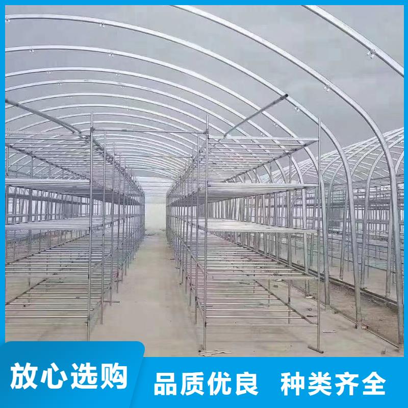 葡萄用连体大棚钢管批发市场地址