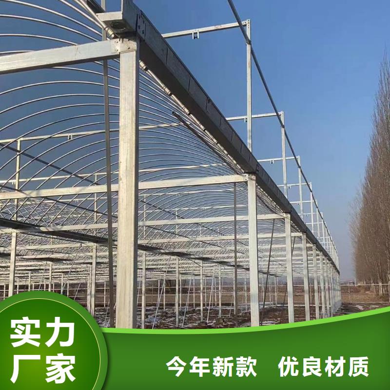 蔬菜大棚管價格行情走勢