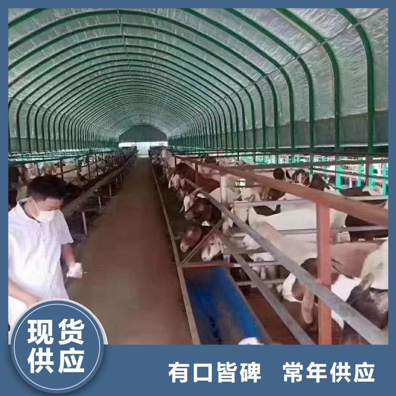 種植棚省心的選擇