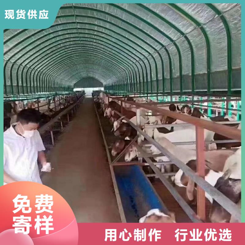種植棚價格行情走勢