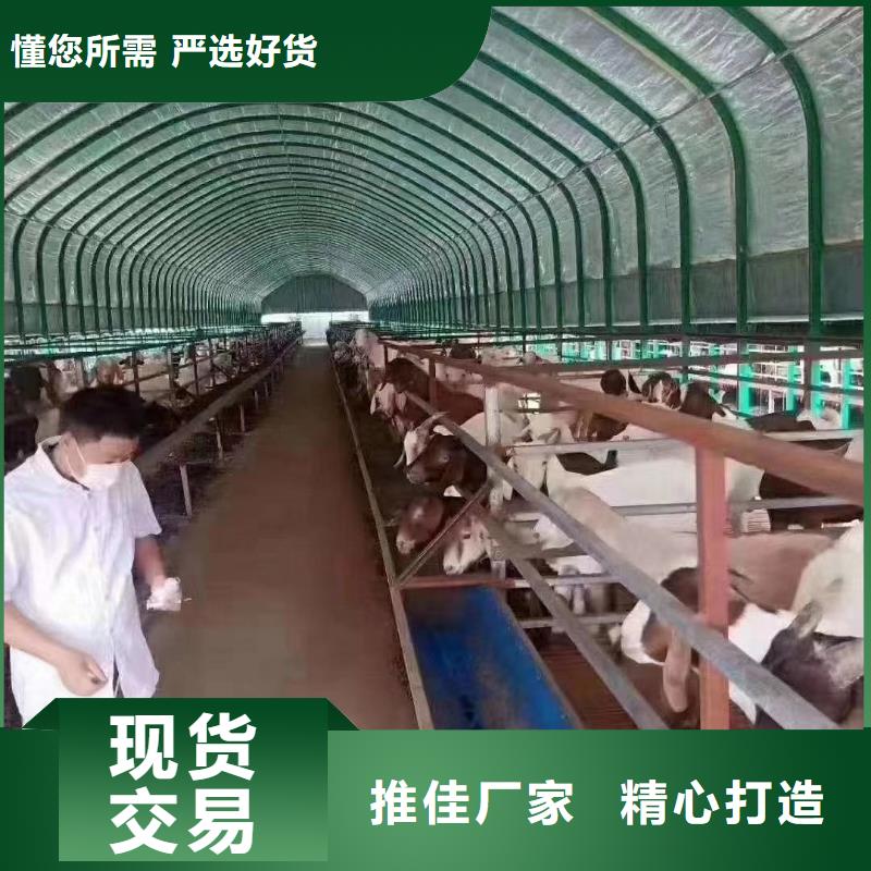 大棚管,
蔬菜溫室大棚管精品優(yōu)選