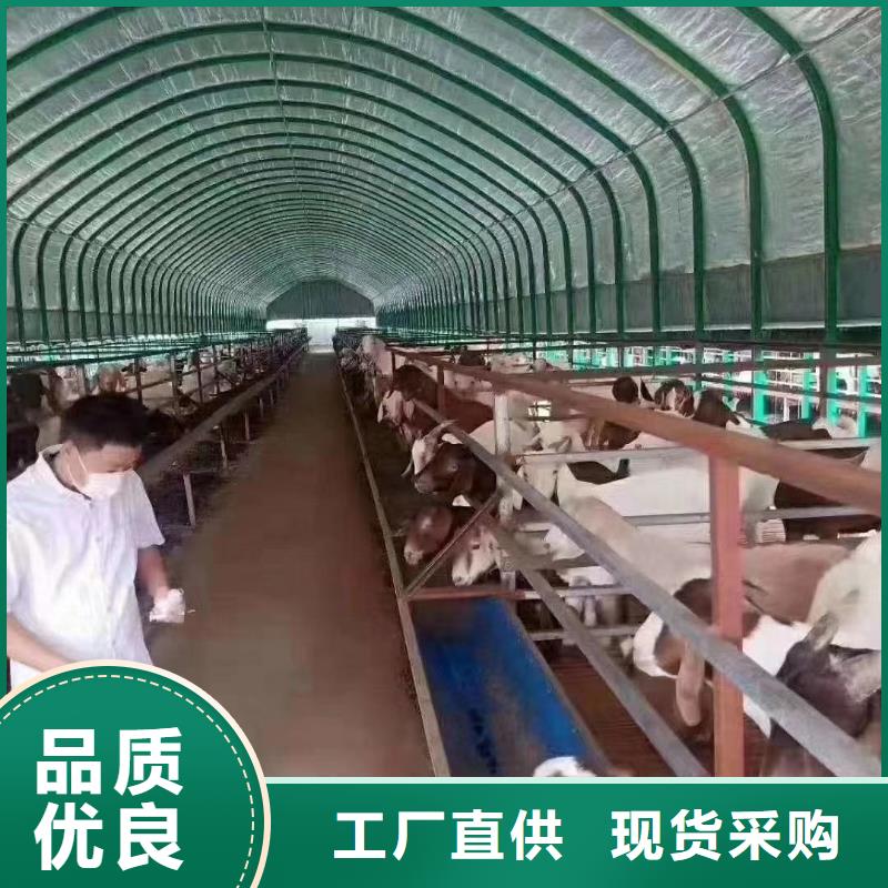 連體大棚管生產廠家詳細參數、