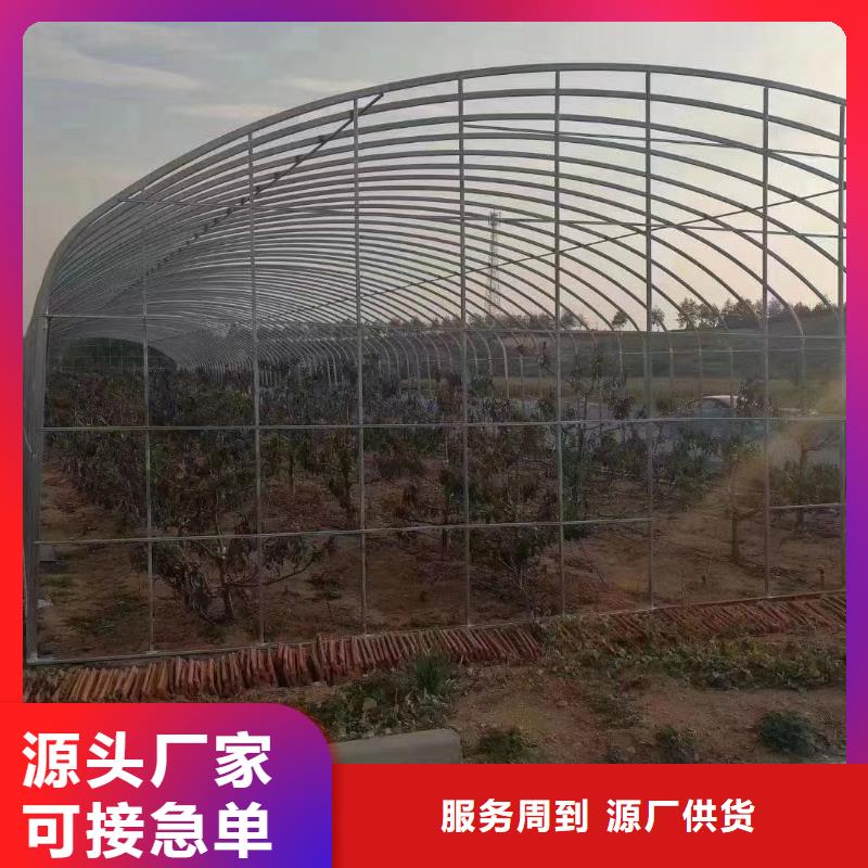 连体大棚视频-连体大棚-江西省新余市该地厂家-分宜|渝水|南昌|抚州|萍乡|九江|上饶