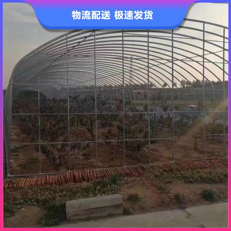 蔬菜大棚管_支持定制