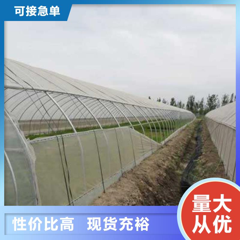 【大棚管蔬菜溫室大棚管市場行情】