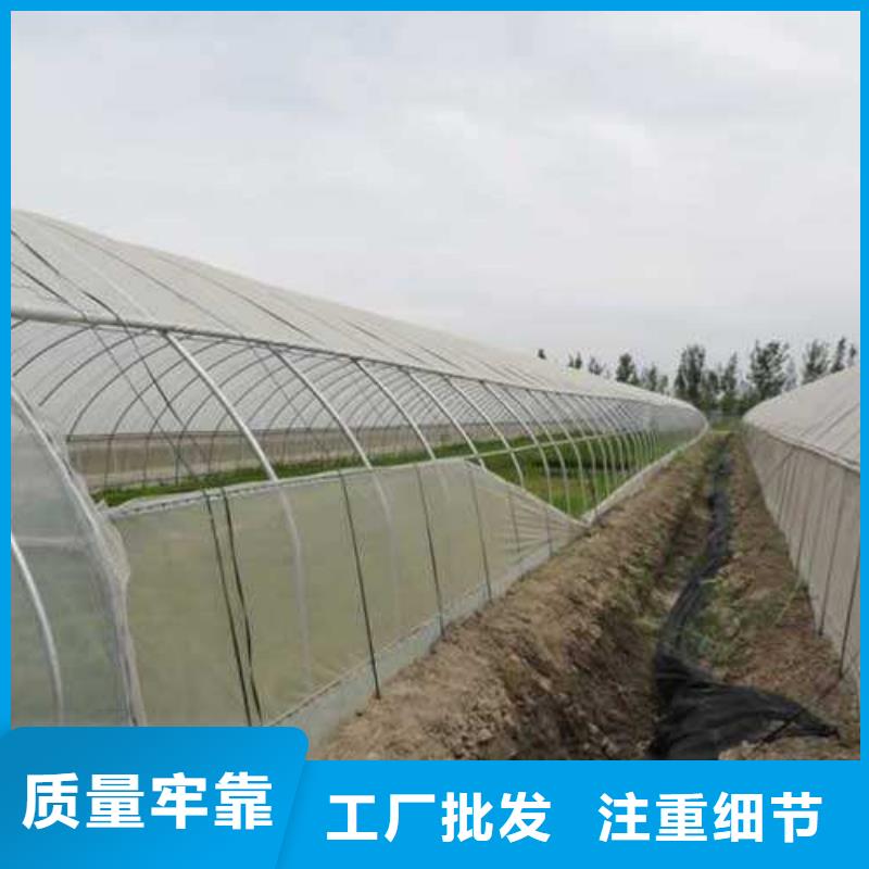 嘉祥蔬菜大棚管廠家2025已更新