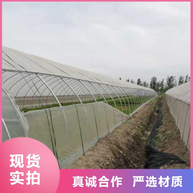 格爾大棚管來樣定制