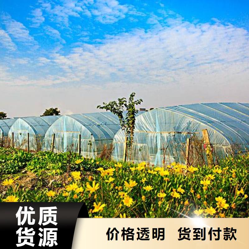 大棚管智能溫室大棚您身邊的廠家
