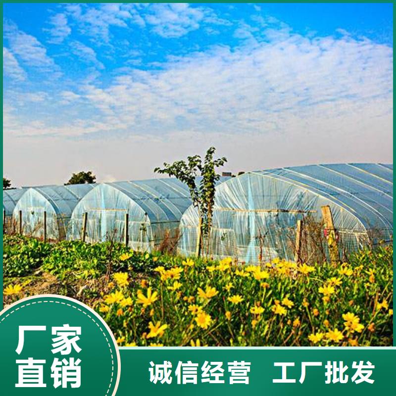 魚臺果樹大棚骨架管無需焊接，主裝方便