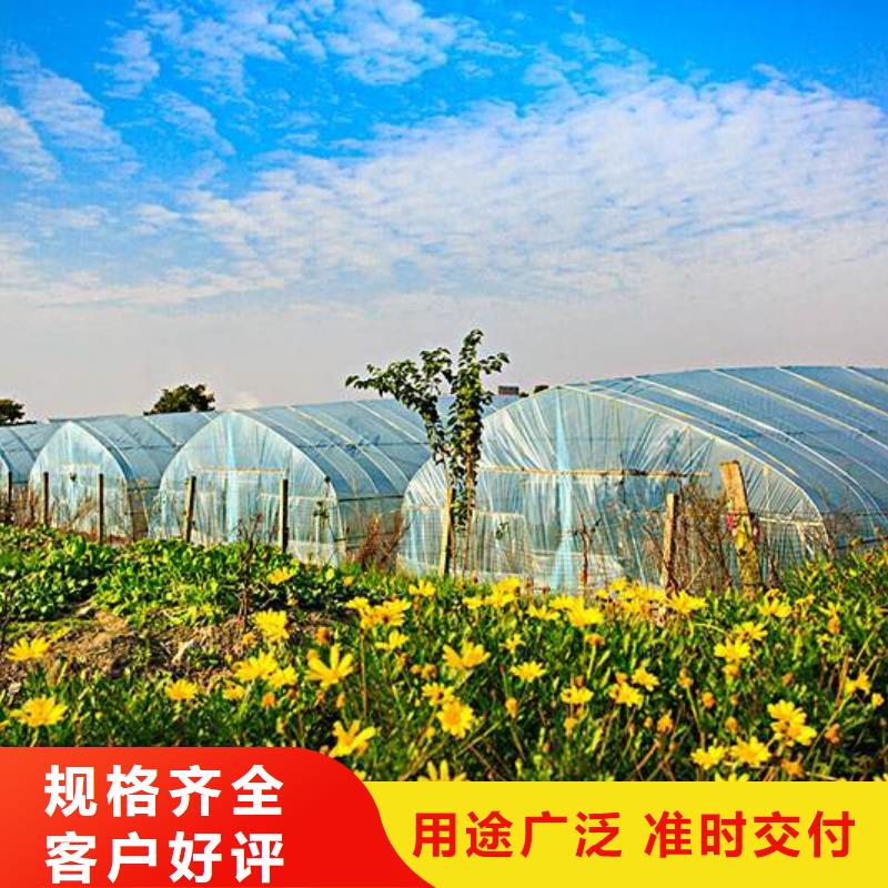 【大棚管3】 方管实拍品质保障泽沃连体大棚