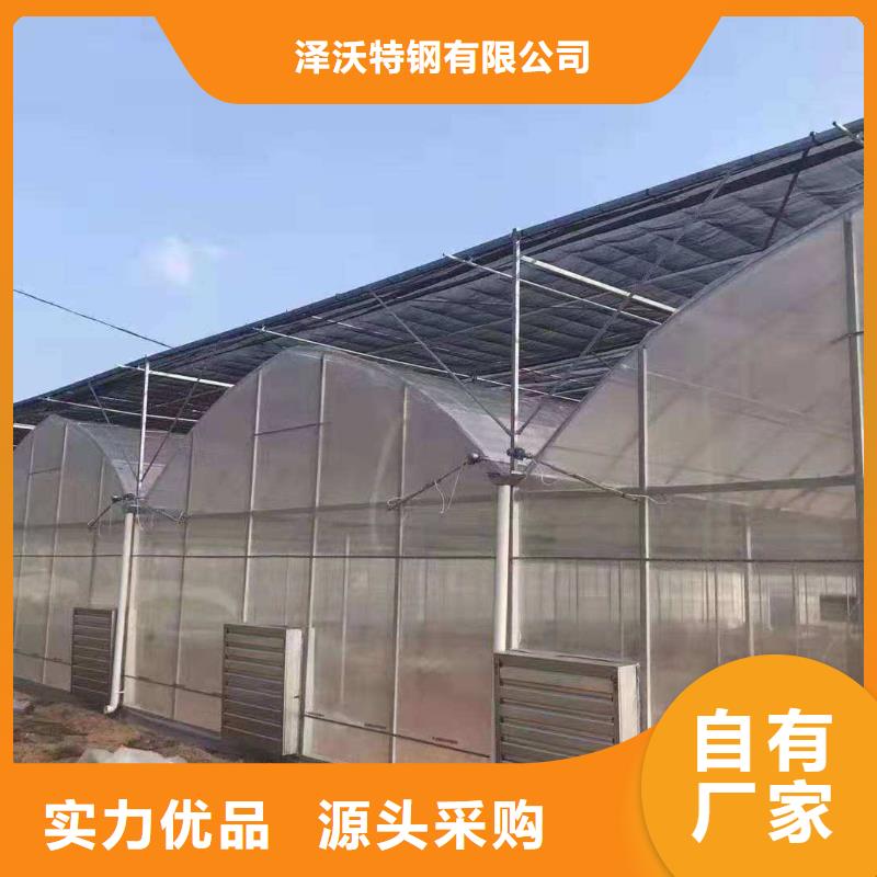 聯動大棚今日價格