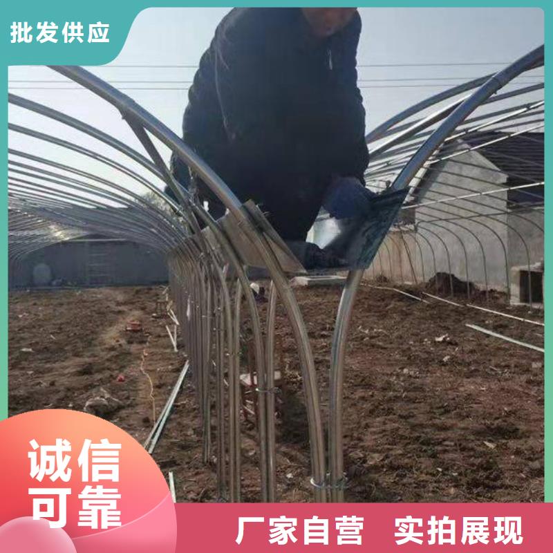 大棚管鍍鋅大棚管常年供應(yīng)
