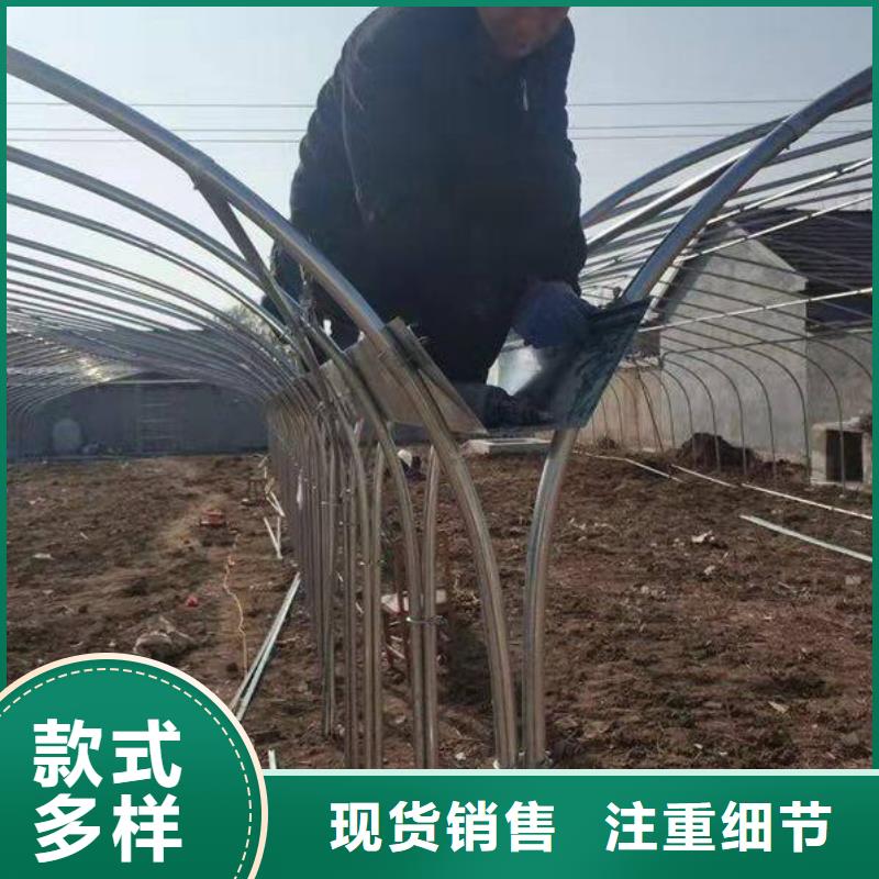 蓮池冷鍍鋅管大棚