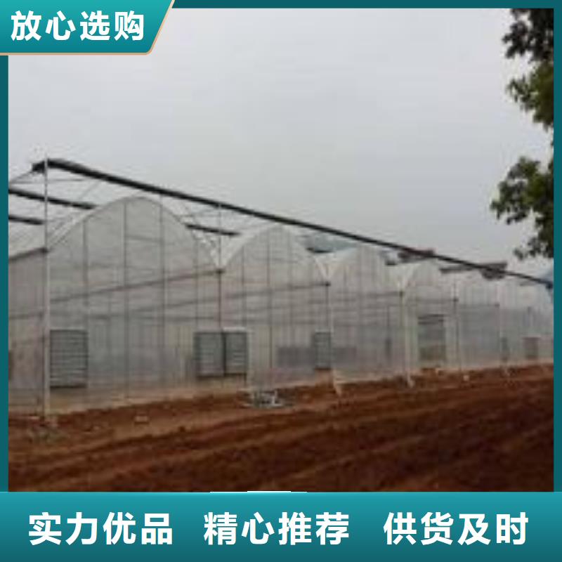 连体大棚视频-连体大棚-江西省新余市该地厂家-分宜|渝水|南昌|抚州|萍乡|九江|上饶