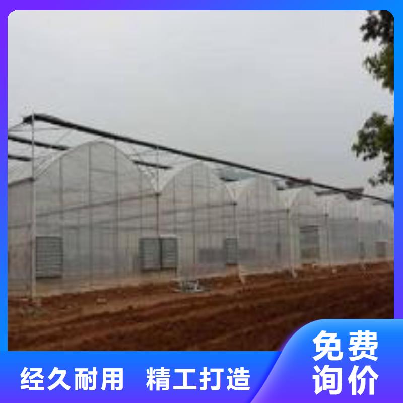 大棚管蔬菜温室大棚管诚信经营