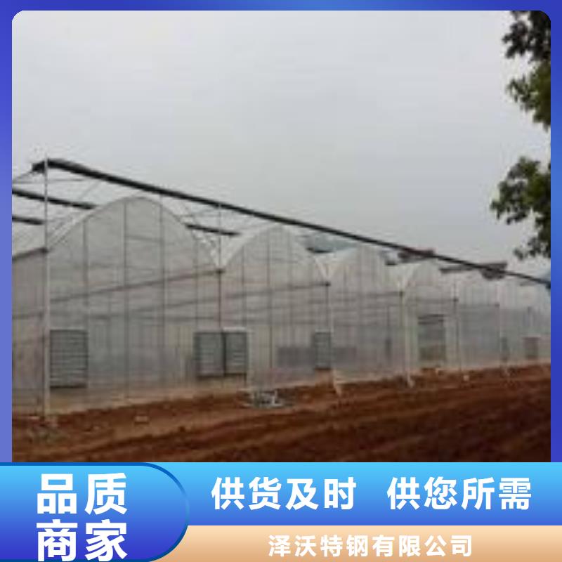 大棚管連棟大棚管一站式采購