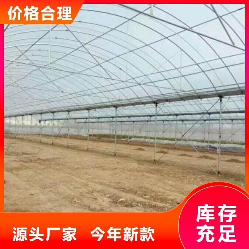 莎爾圖大棚架子安裝
