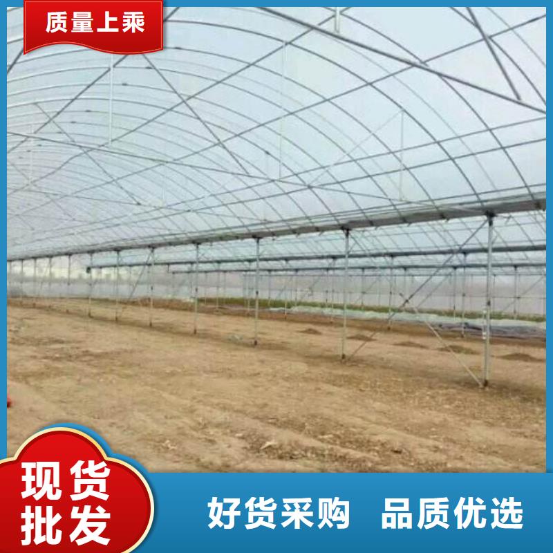 博野縣圓拱型大棚骨架機口碑好