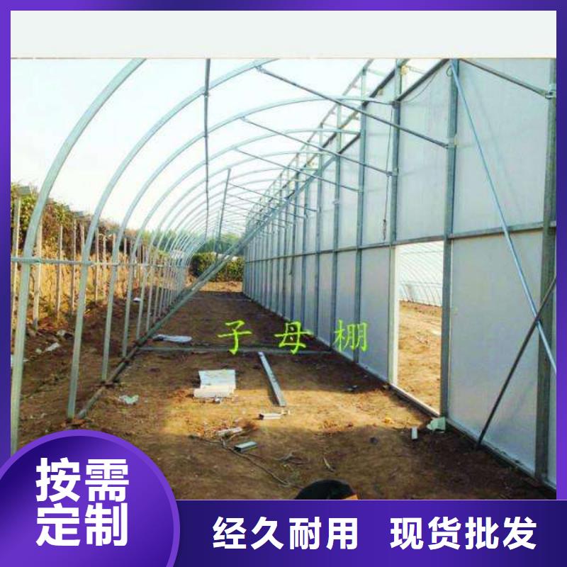 大棚管鍍鋅大棚管常年供應