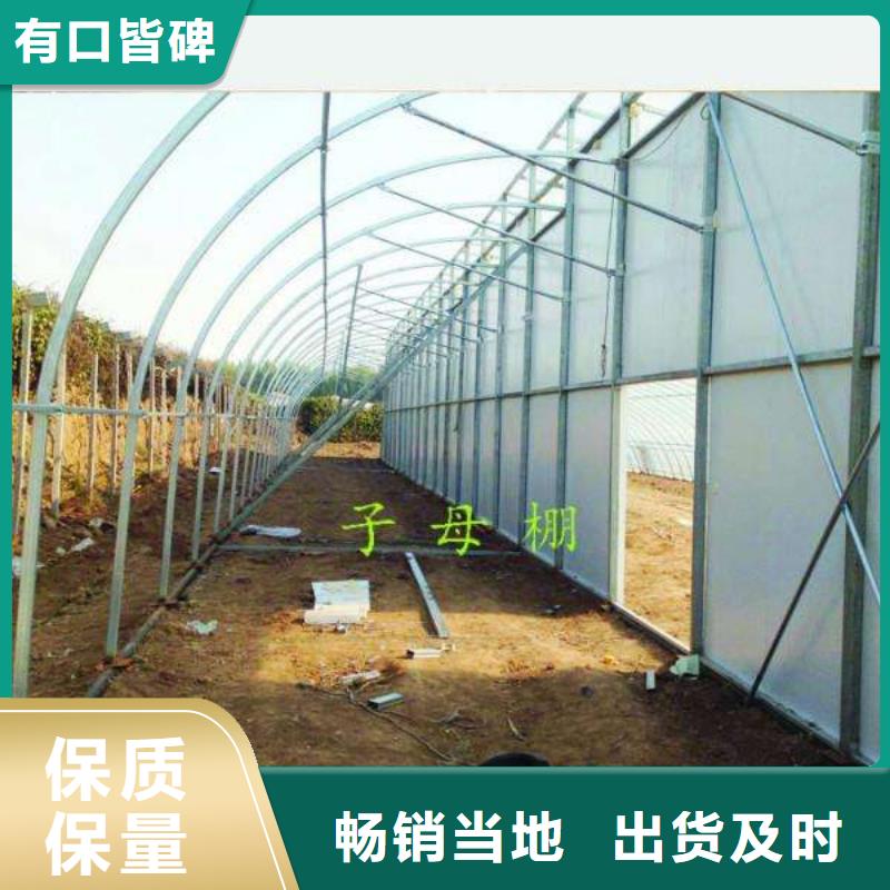 德化大棚骨架直供廠家