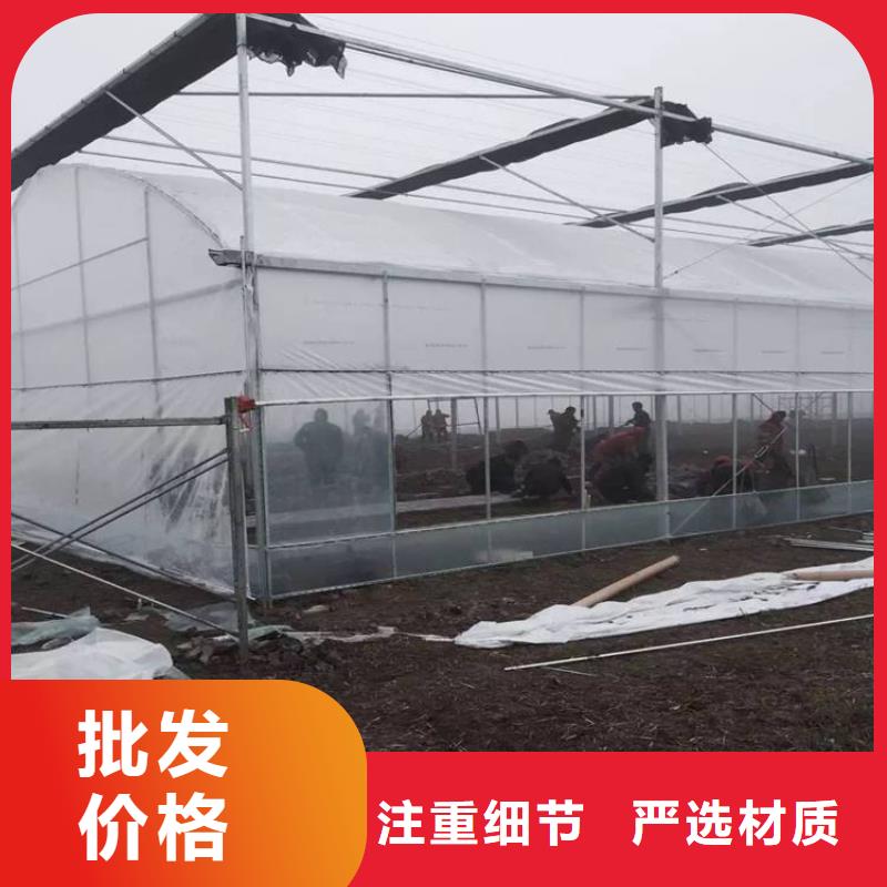 大棚管椭圆管温室大棚产地工厂