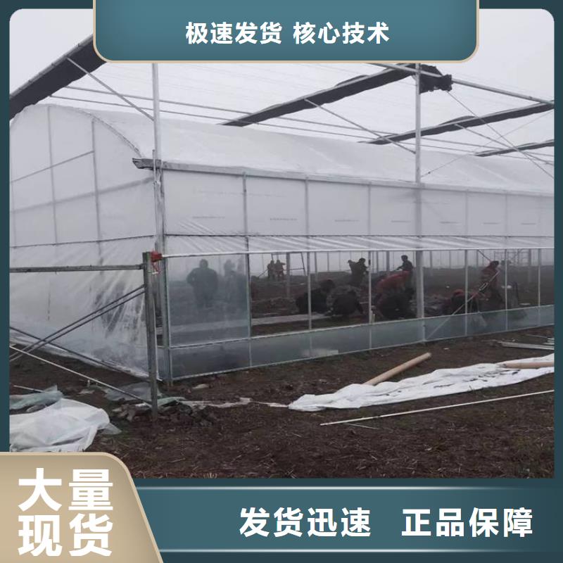 大棚管連棟溫室搭建助您降低采購成本