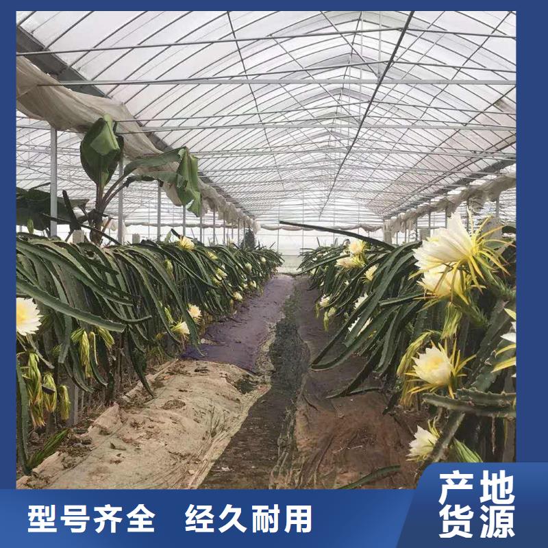 有現貨的大棚管廠家供應商