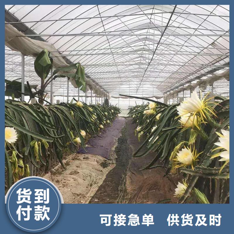 4分大棚管的廠家-澤沃特鋼有限公司
