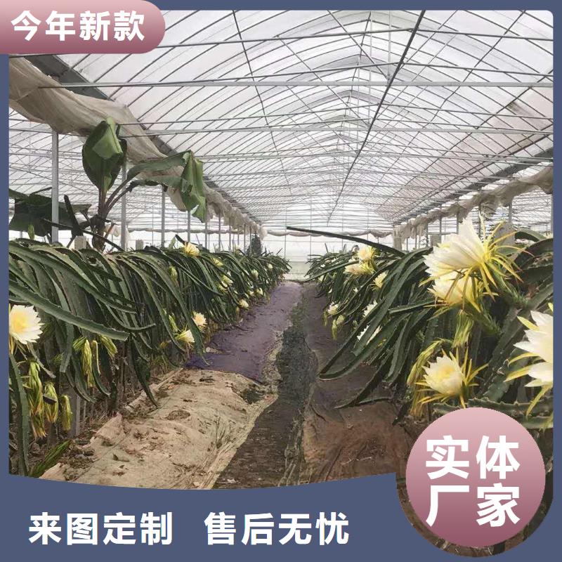 文水大棚管價格優惠2025已更新