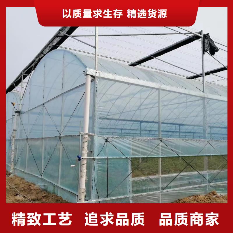 魚臺果樹大棚骨架管無需焊接，主裝方便