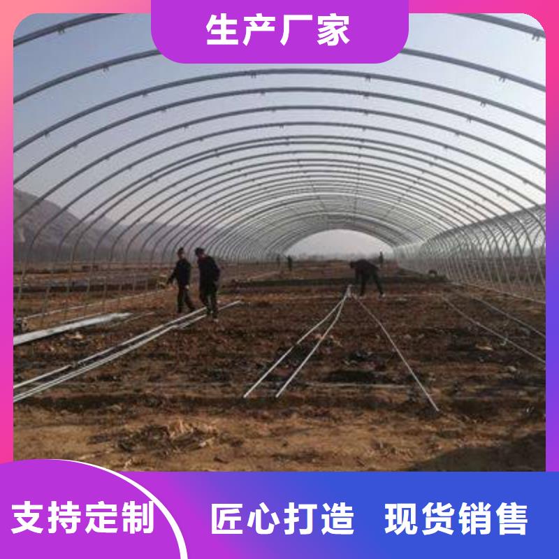 大棚管大棚骨架嚴選好貨