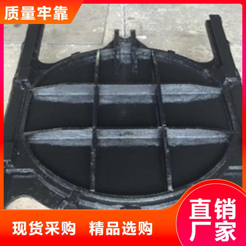 鑄鐵閘門品種齊全