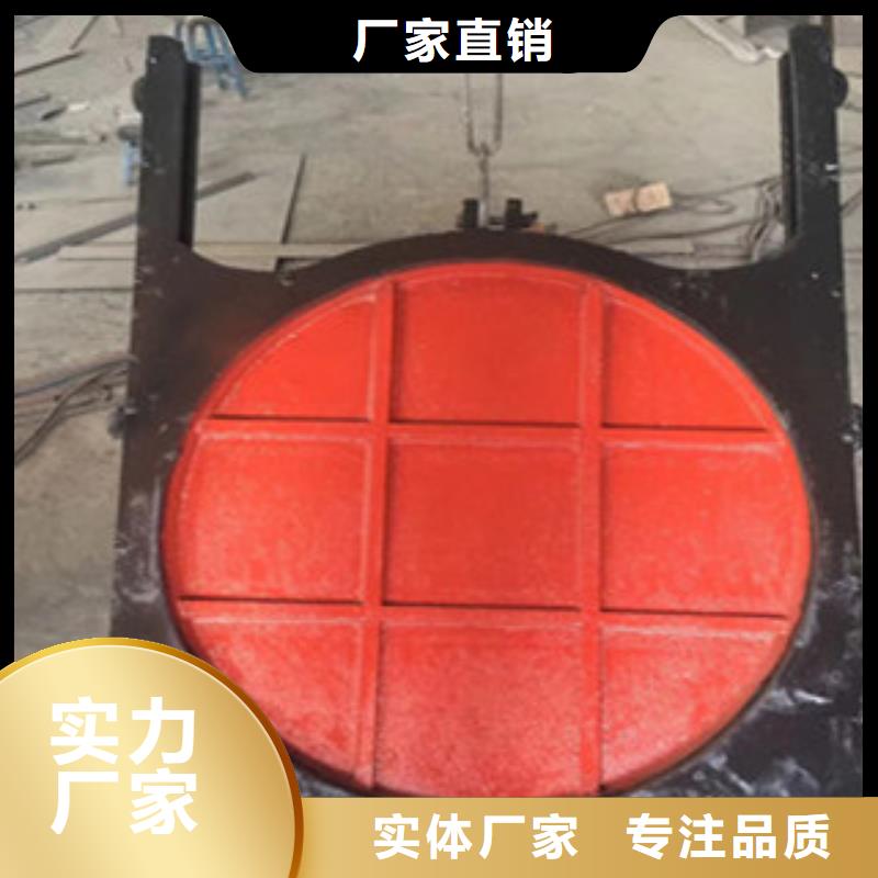 铸铁闸门_电装螺杆启闭机支持加工定制