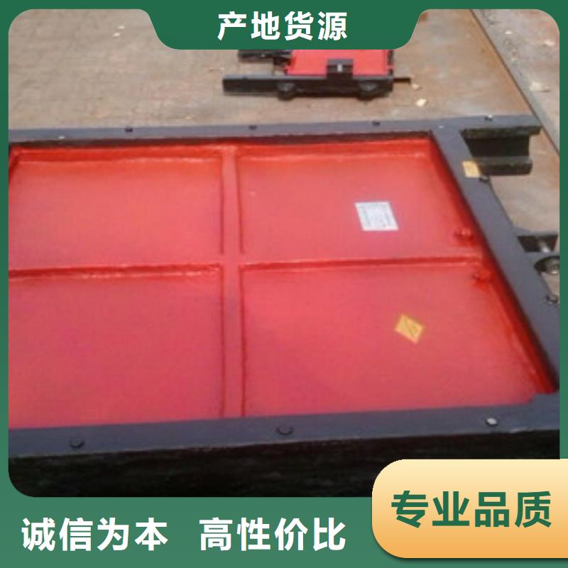 鑄鐵閘門-鋼閘門為品質(zhì)而生產(chǎn)