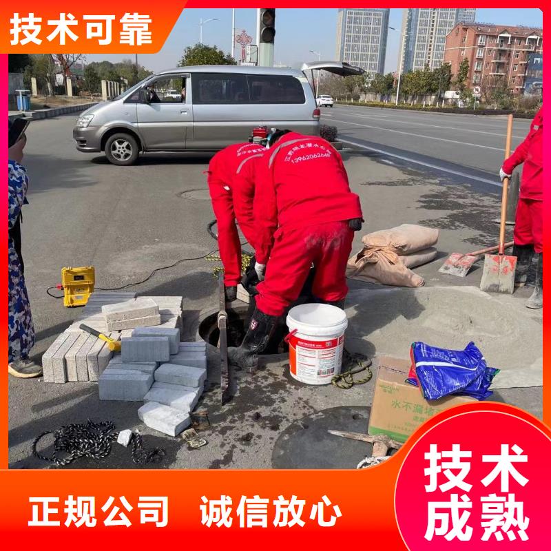 电厂闸门水下维修检查生产厂家欢迎致电