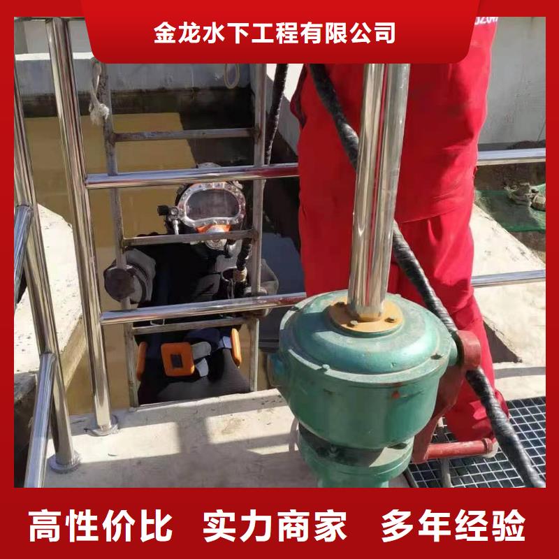 桥桩码头桩拆除施工队伍